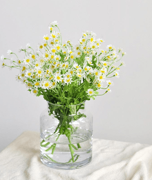 Image Upscaling - Before